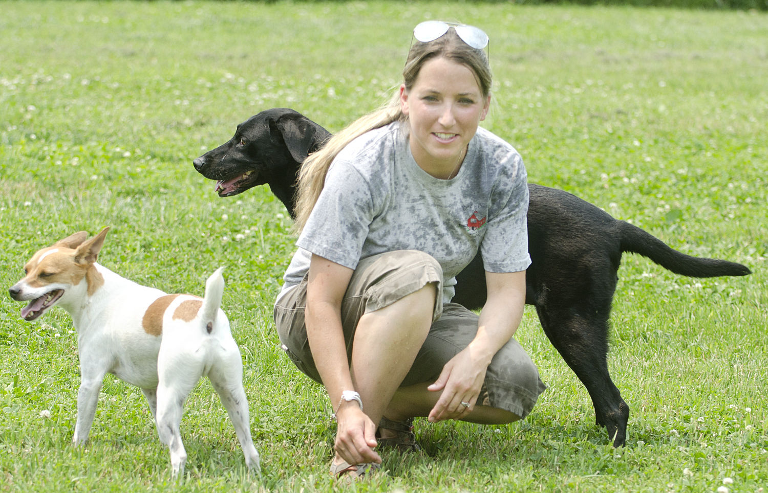 Dog Daycare Business